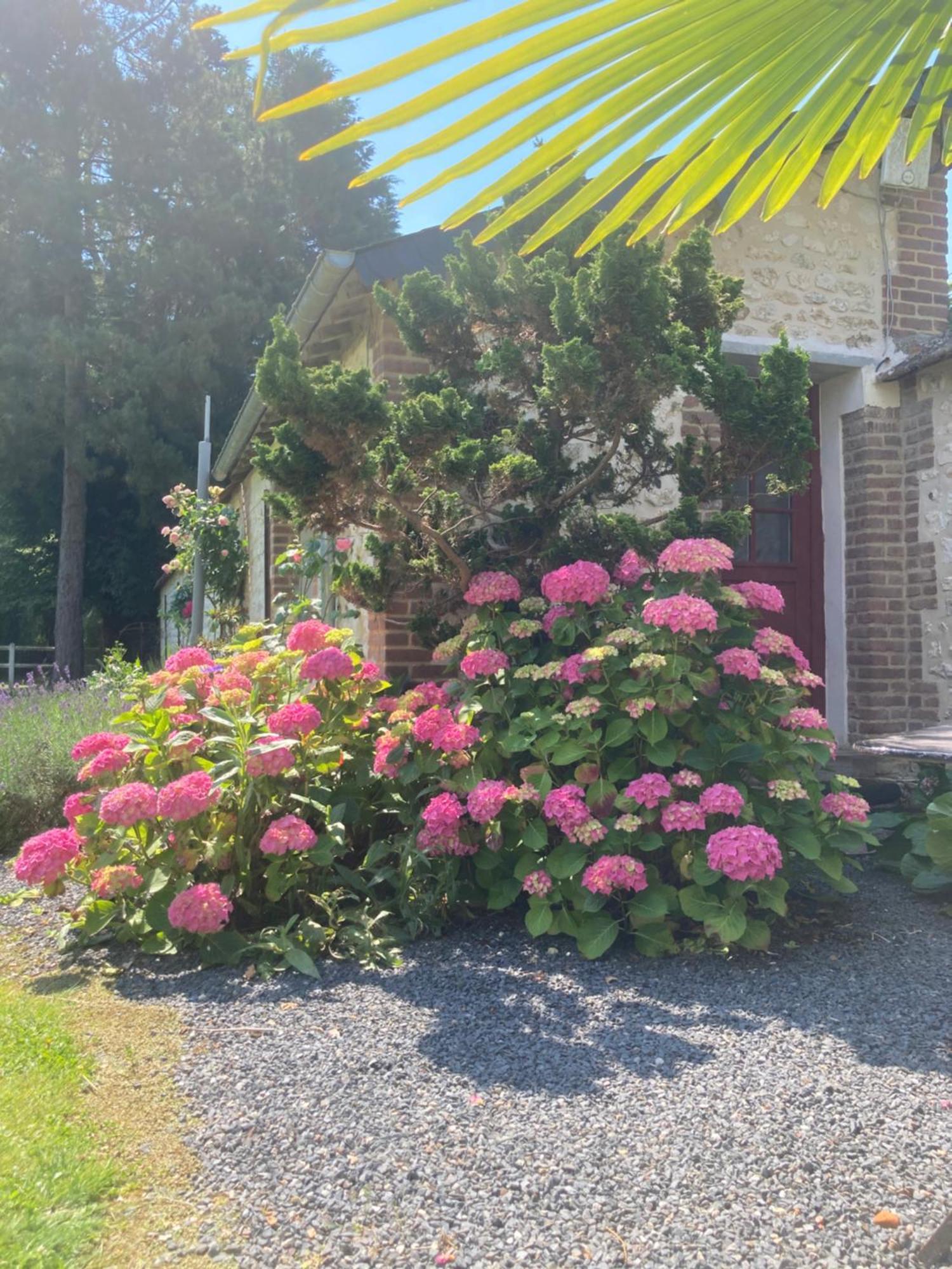 L'Oreade Amfreville-sur-Iton Екстер'єр фото